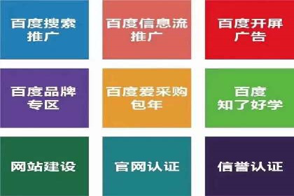 SEM运营策略案例分析